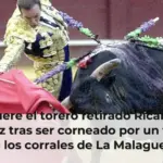 Muere el torero retirado Ricardo Ortiz tras ser corneado por un toro en los corrales de La Malagueta