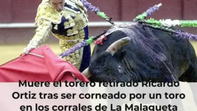 Muere el torero retirado Ricardo Ortiz tras ser corneado por un toro en los corrales de La Malagueta