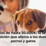 Multas de hasta 50.000€: la severa prohibición que afecta a los dueños de perros y gatos