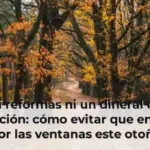 Ni reformas ni un dineral en calefacción: cómo evitar que entre frío por las ventanas este otoño