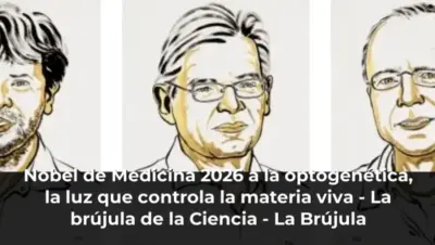Nobel de Medicina 2026 a la optogenética, la luz que controla la materia viva - La brújula de la Ciencia - La Brújula