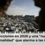Plaga de ratas en Gaza: más de 17.000 infecciones en 2026 y una