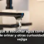 Por qué al escuchar agua correr dan ganas de orinar y otras curiosidades de la vejiga
