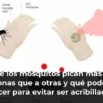Por qué los mosquitos pican más a unas personas que a otras y qué podemos hacer para evitar ser acribillados