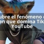 Descubre el fenómeno de los therian que domina TikTok y YouTube