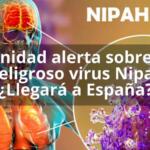 Sanidad alerta sobre el peligroso virus Nipah ¿Llegará a España?