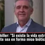 Rafael bachiller: 
