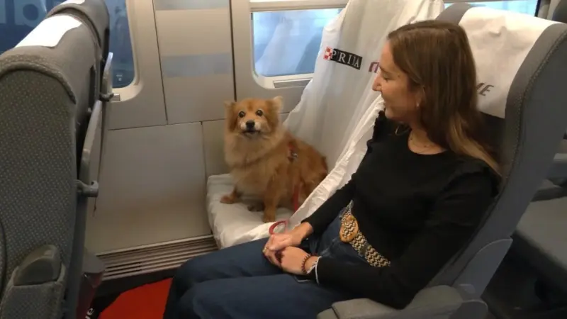 Renfe permitirá viajar con perros de hasta 40 kilos en toda su red desde el 21 de julio