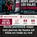 Renfe permitirá viajar con perros de hasta 40 kilos en toda su red desde el 21 de julio