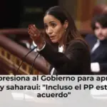 Sidi presiona al Gobierno para aprobar la ley saharaui: 