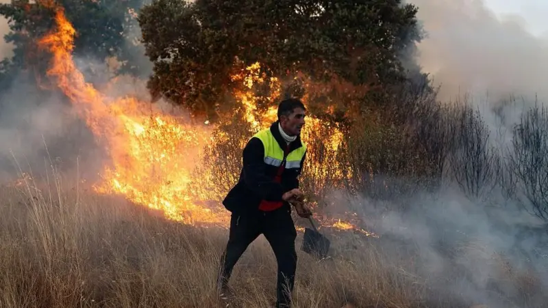 Soluciones a los incendios forestales: escuchar a la ciencia y a la gente del lugar
