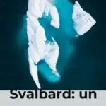 Svalbard: un crucero por el Ártico entre glaciares, osos polares y hielo marino