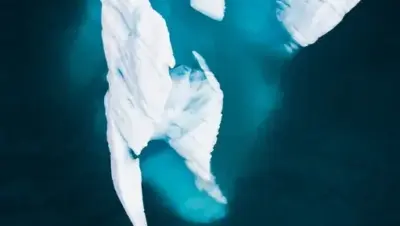 Svalbard: un crucero por el Ártico entre glaciares, osos polares y hielo marino