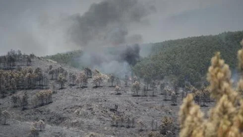 Última hora sobre los incendios forestales en España, en directo: fuegos activos en Aragón, Castilla-La Mancha y Andaluc