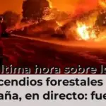 Última hora sobre los incendios forestales en España, en directo: fuegos activos en Aragón, Castilla-La Mancha y Andalucía
