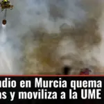 Un incendio en Murcia quema 400 hectáreas y moviliza a la UME