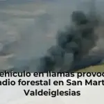 Un vehículo en llamas provoca un incendio forestal en San Martín de Valdeiglesias