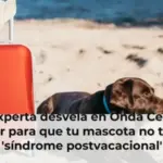 Una experta desvela en Onda Cero qué hacer para que tu mascota no tenga 'síndrome postvacacional'