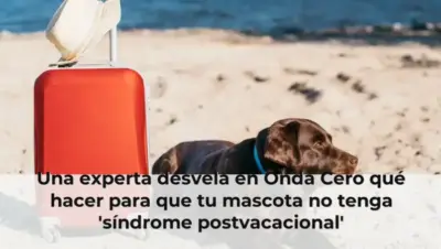 Una experta desvela en Onda Cero qué hacer para que tu mascota no tenga 'síndrome postvacacional'