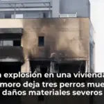 Una explosión en una vivienda de Valdemoro deja tres perros muertos y daños materiales severos