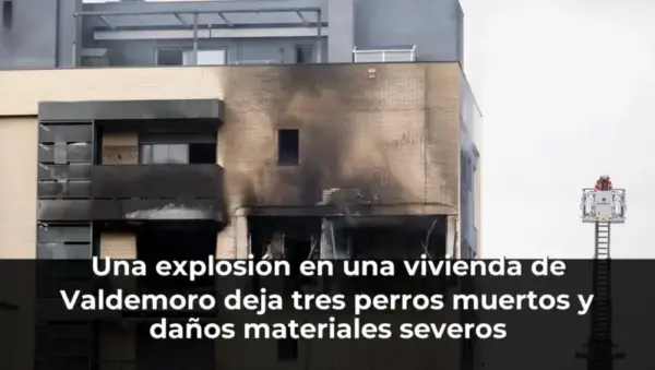 Una explosión en una vivienda de Valdemoro deja tres perros muertos y daños materiales severos