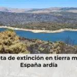 Una flota de extinción en tierra mientras España ardía