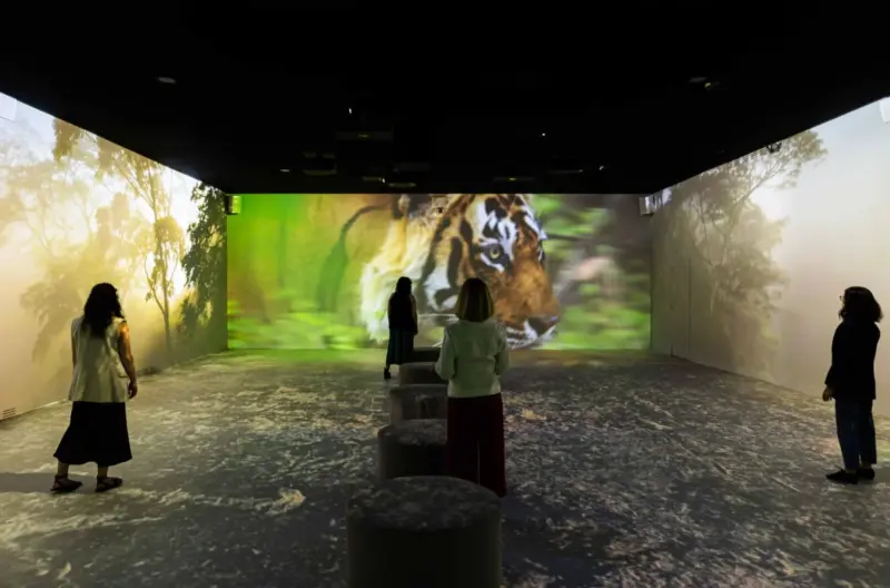 Una oda inmersiva para reconectar con el planeta: CaixaForum y National Geographic traen la naturaleza al centro de Madr