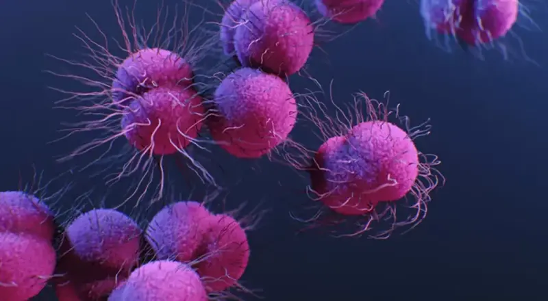 Virus en aguas residuales bajo microscopio