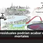 Virus en aguas residuales podrían acabar con infecciones mortales