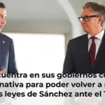 Vox encuentra en sus gobiernos con el PP la alternativa para poder volver a recurrir las leyes de Sánchez ante el TC